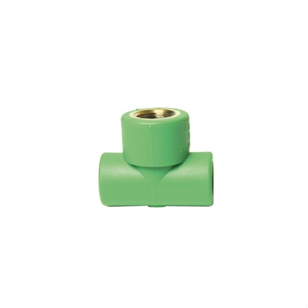 Aquatechnik - Ti Femmina in Polipropilene-Random da  20 x 1/2 x 20